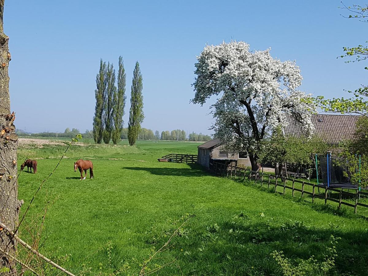 Het Voorhuis Boerderij Hoeve Vrede Best Weesp Zewnętrze zdjęcie